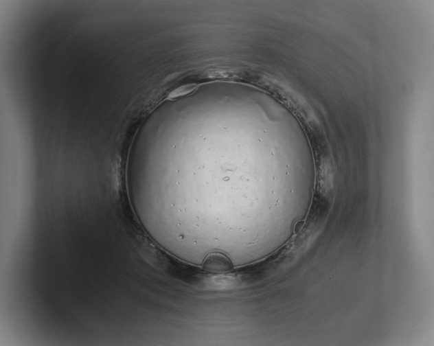 X0000101990413200807251230