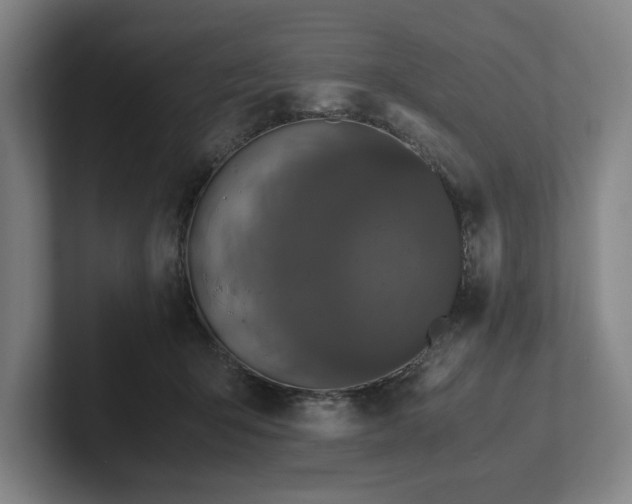 X0000101990415200807251230