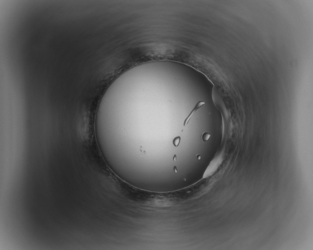X0000101990416200807251230