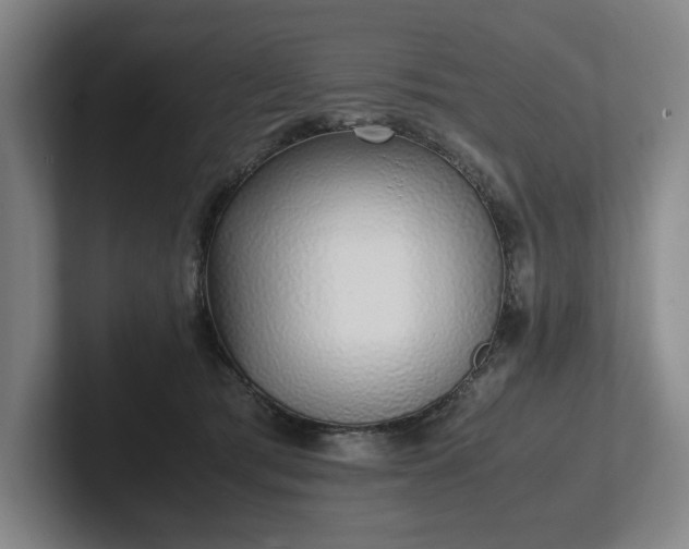 X0000101990417200807251230