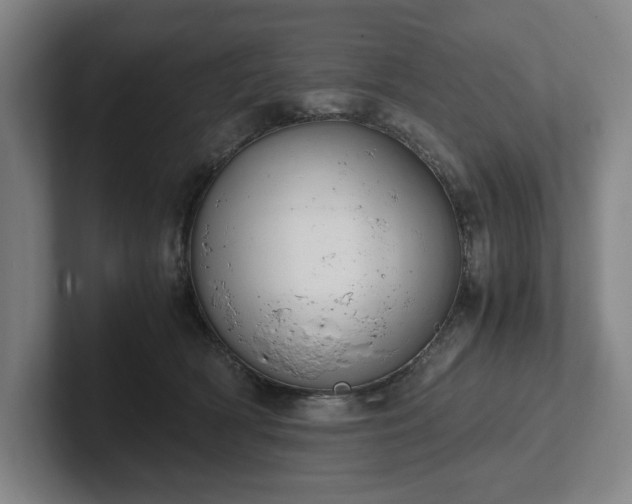 X0000101990418200807251230
