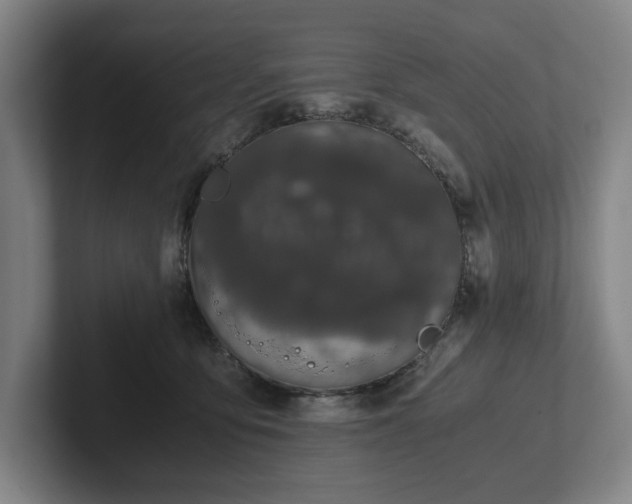 X0000101990419200807251230
