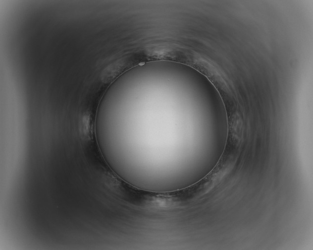 X0000101990420200807251230