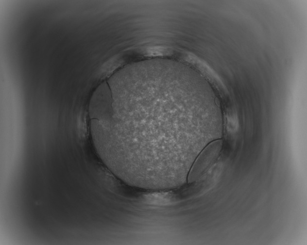 X0000101990422200807251230