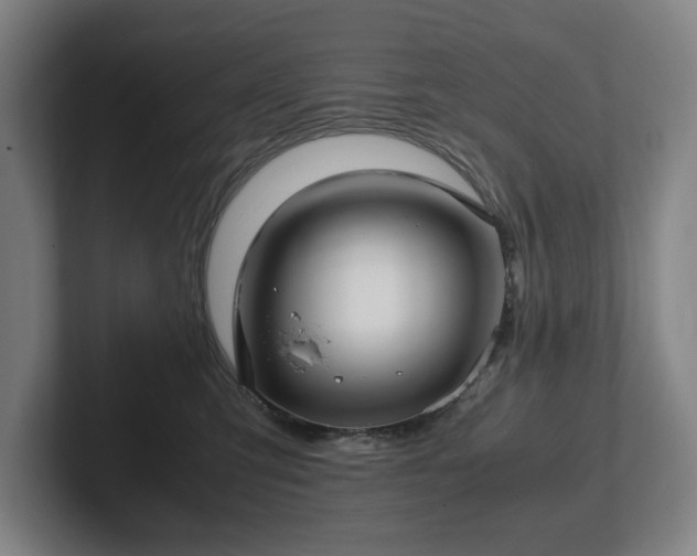 X0000101990423200807251230