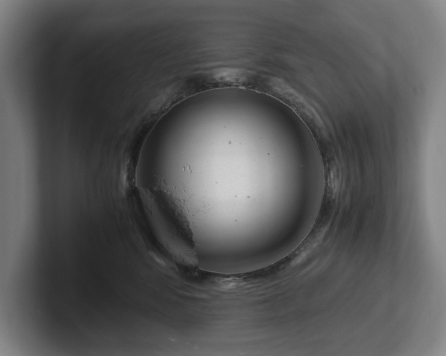X0000101990424200807251230
