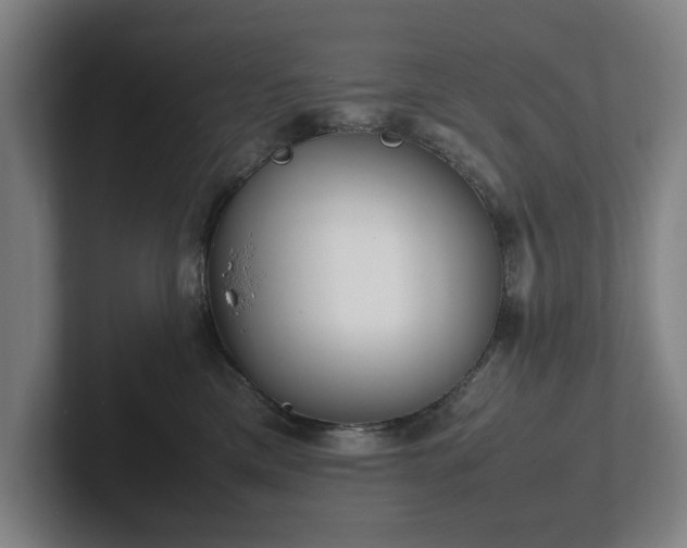 X0000101990425200807251230