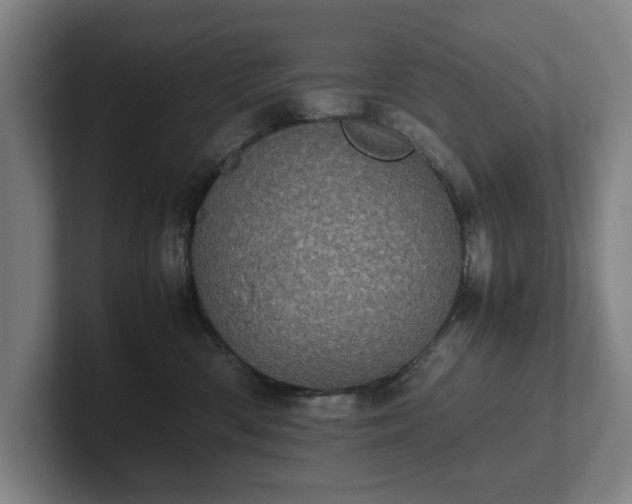 X0000101990426200807251230