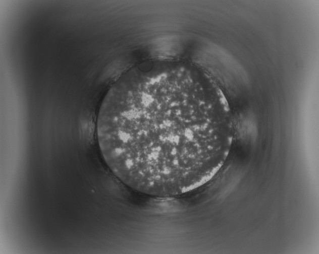 X0000101990427200807251230
