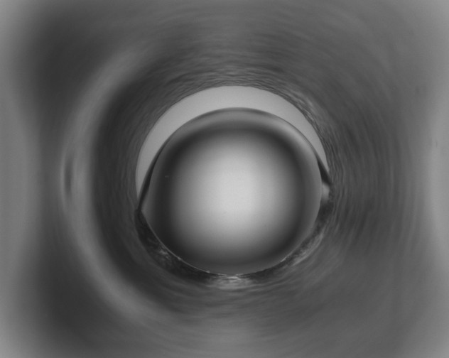 X0000101990429200807251230