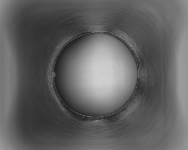 X0000101990433200807251229