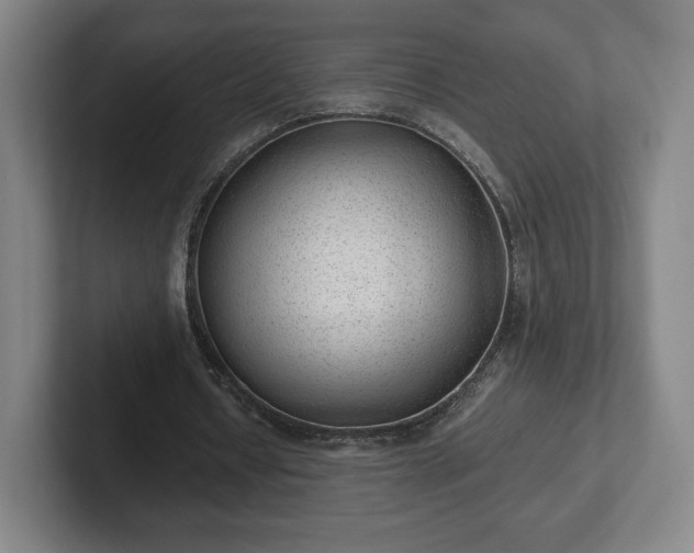 X0000101990434200807251229