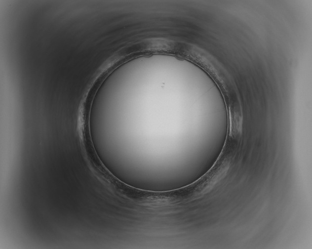 X0000101990435200807251229
