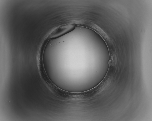 X0000101990436200807251229