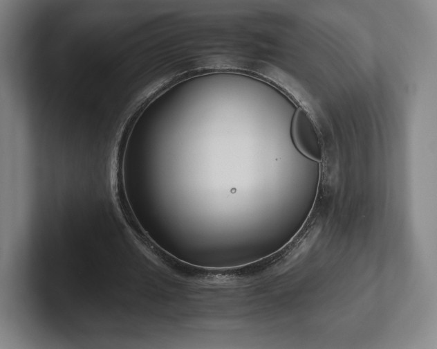 X0000101990437200807251229