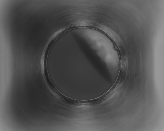 X0000101990438200807251229