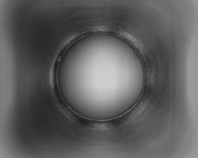 X0000101990439200807251229