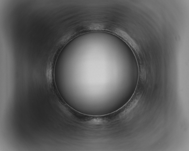 X0000101990441200807251229