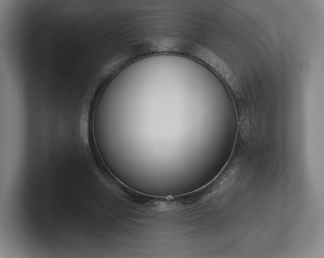 X0000101990442200807251229