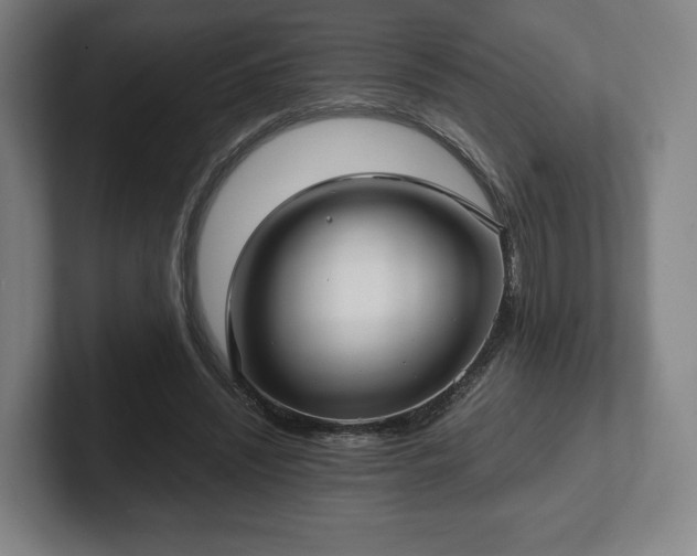 X0000101990444200807251229