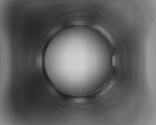 X0000101990445200807251229