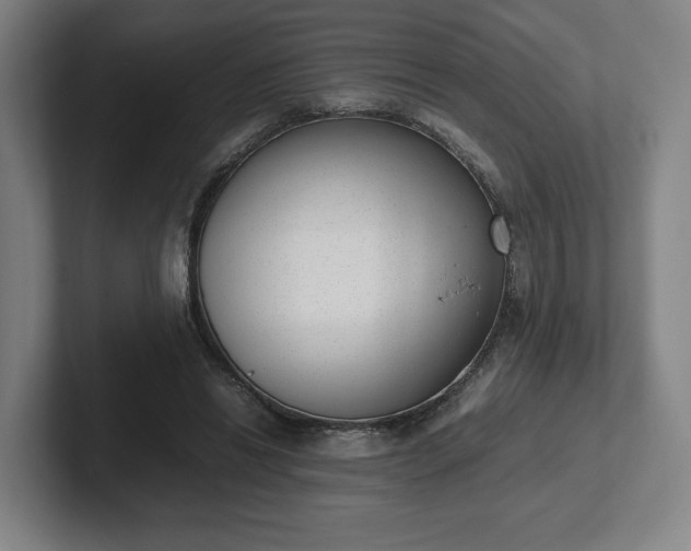 X0000101990446200807251229