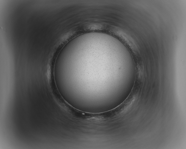 X0000101990447200807251229