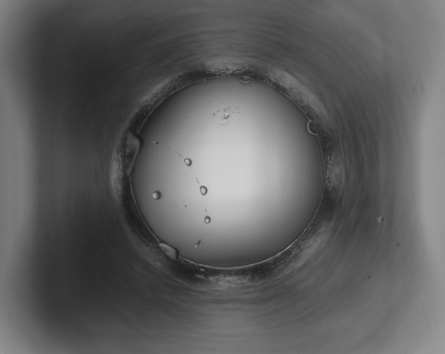 X0000101990448200807251229