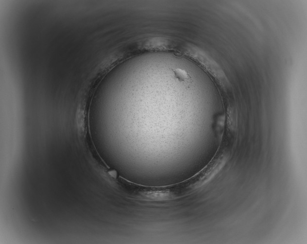 X0000101990449200807251229