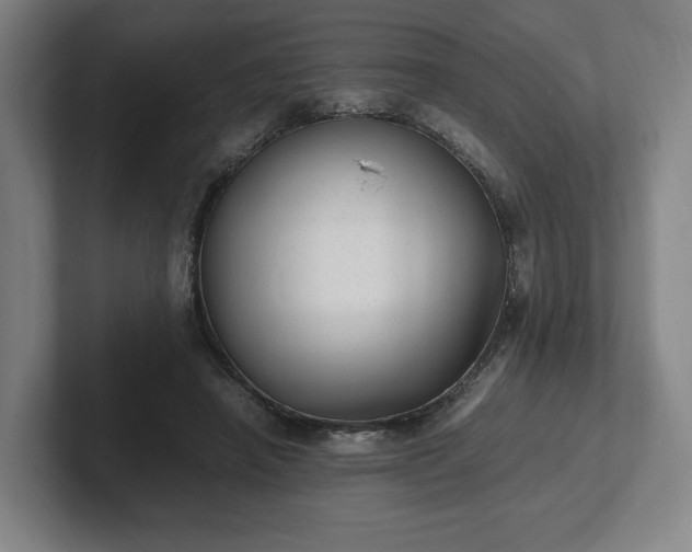 X0000101990450200807251229