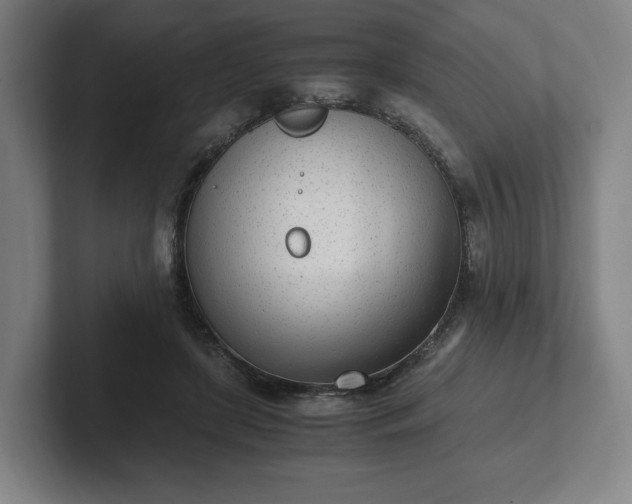 X0000101990451200807251229