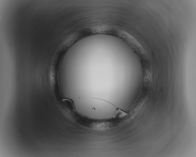 X0000101990452200807251229