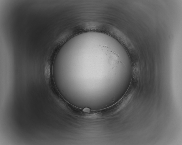 X0000101990454200807251229