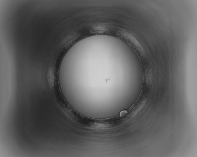 X0000101990455200807251229
