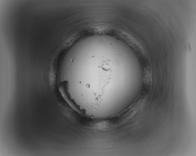 X0000101990456200807251229