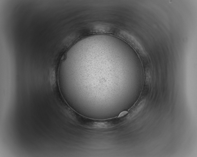 X0000101990457200807251229