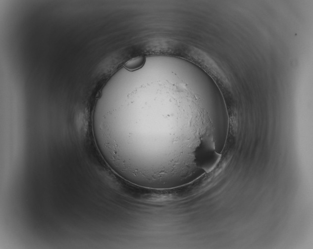 X0000101990458200807251229