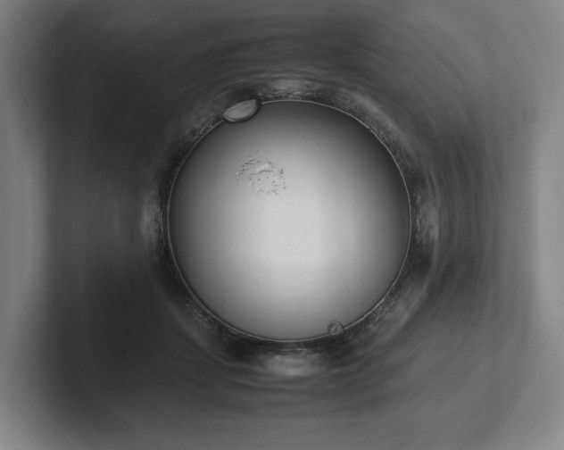 X0000101990459200807251229