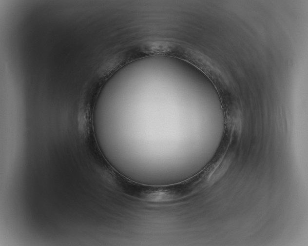 X0000101990460200807251229