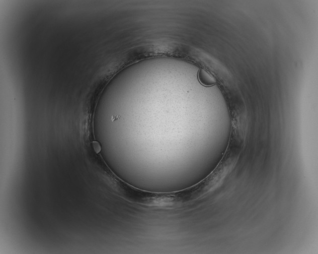 X0000101990462200807251229