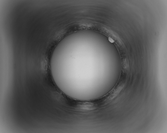 X0000101990463200807251229