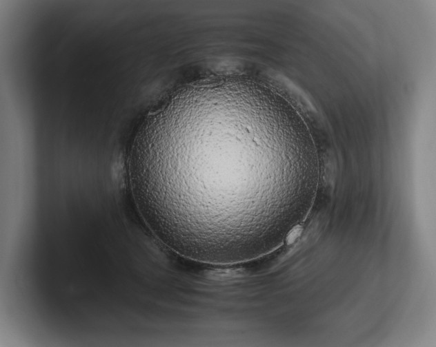 X0000101990465200807251229