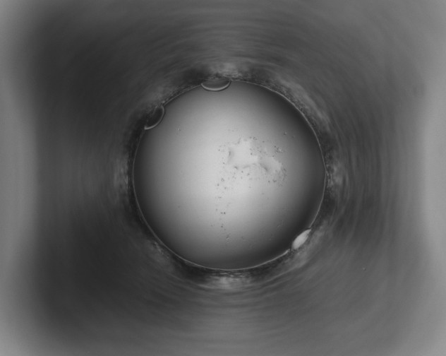 X0000101990466200807251229