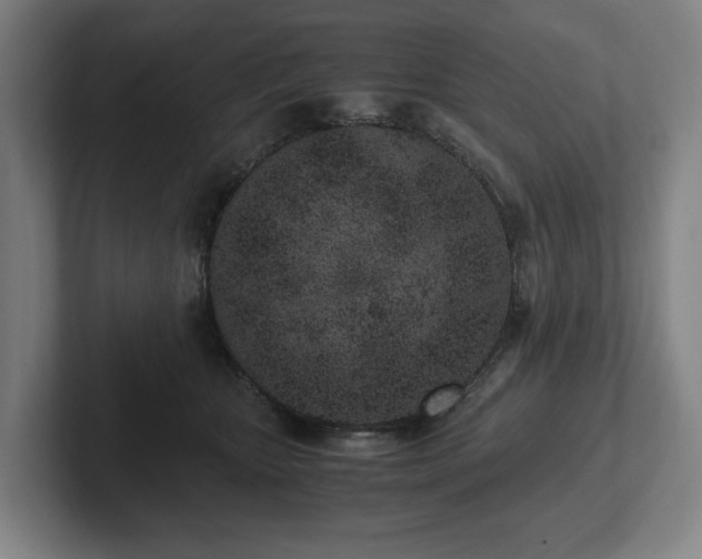 X0000101990467200807251229
