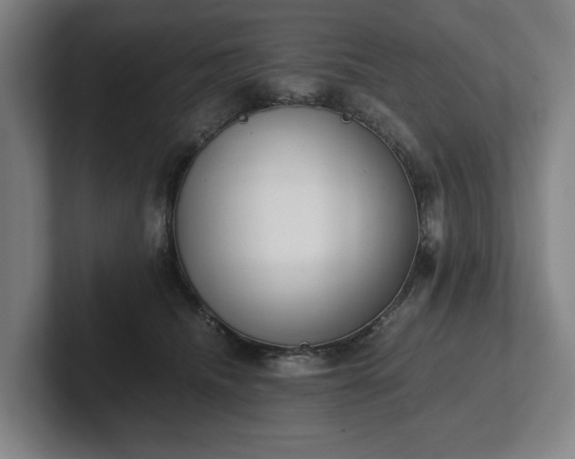 X0000101990468200807251229