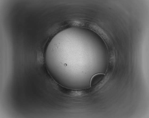 X0000101990469200807251229