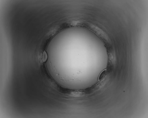 X0000101990470200807251229