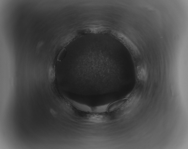 X0000101990471200807251229