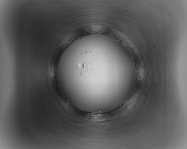 X0000101990472200807251229