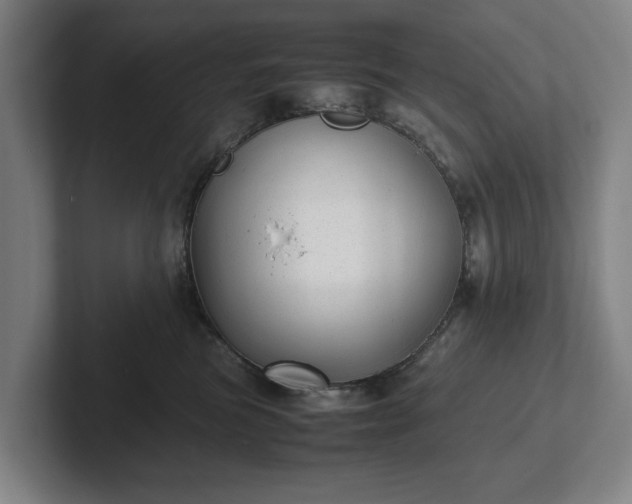 X0000101990473200807251229